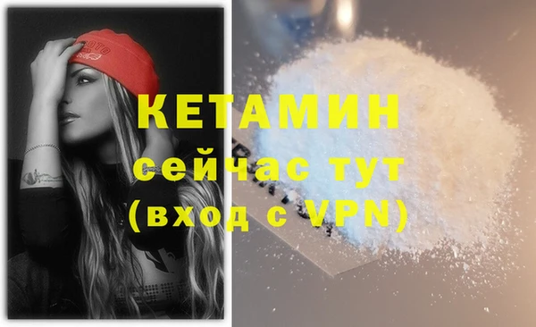 сатива Новокубанск