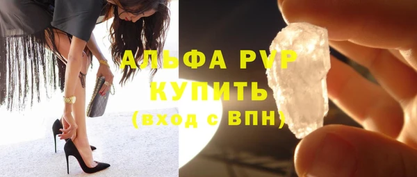 сатива Новокубанск