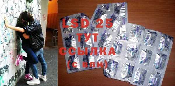 крисы Новозыбков