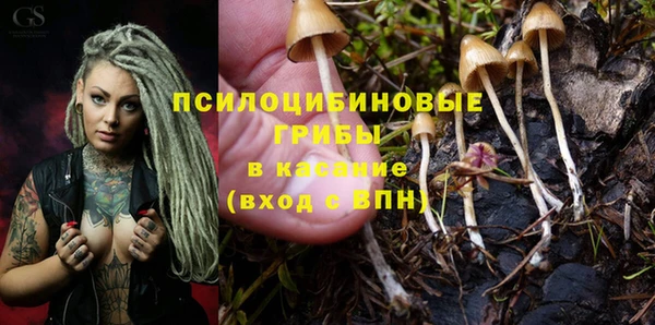 гидропоника Новодвинск