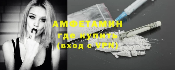 сатива Новокубанск