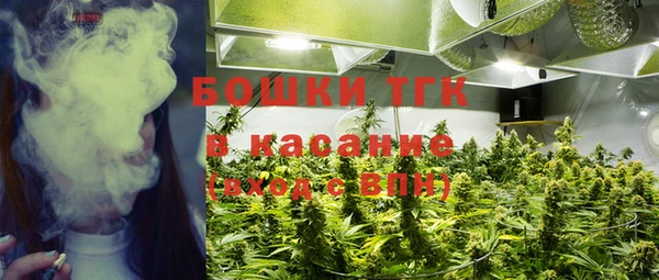 PSILOCYBIN Нягань