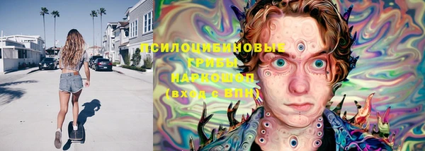 PSILOCYBIN Нягань