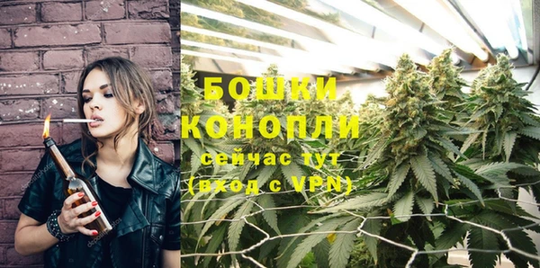 PSILOCYBIN Нягань