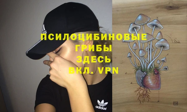 прущие крисы Осташков