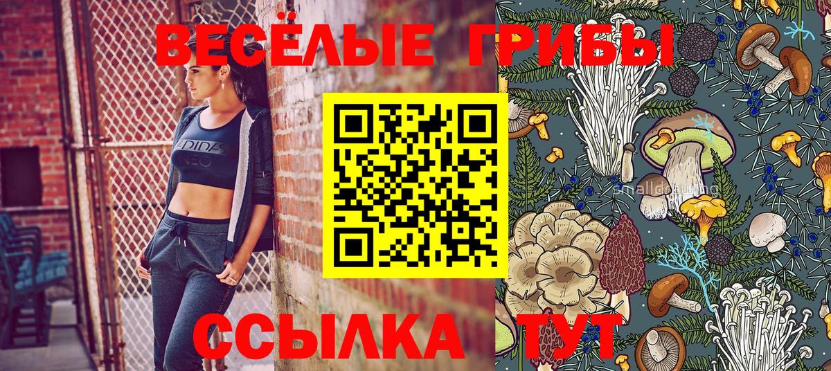 Псилоцибиновые грибы ЛСД Кашира