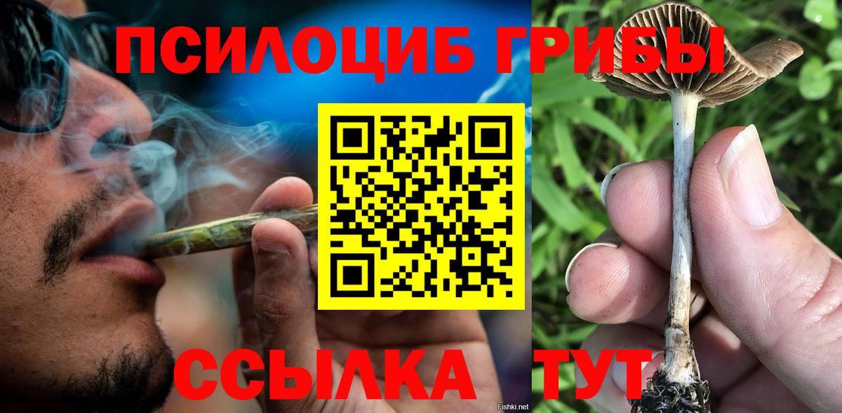 Галлюциногенные грибы Psilocybine cubensis Кашира